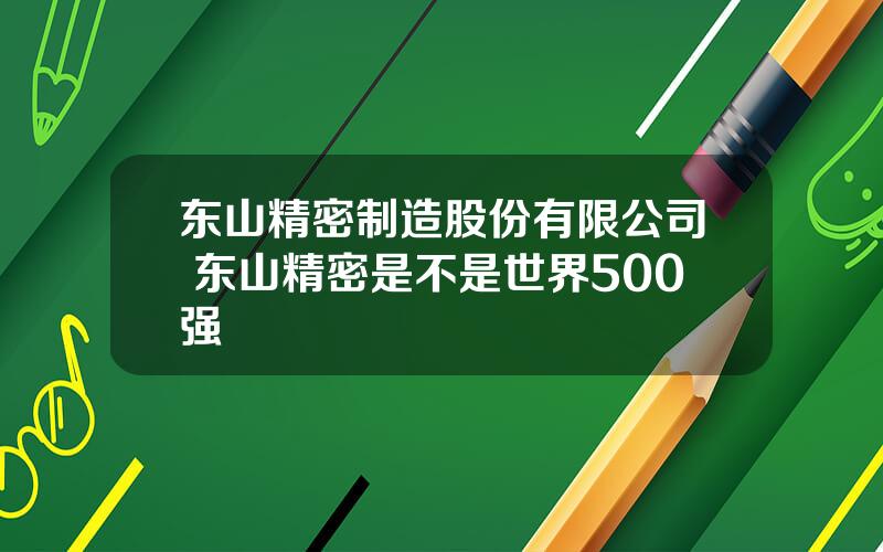 东山精密制造股份有限公司 东山精密是不是世界500强